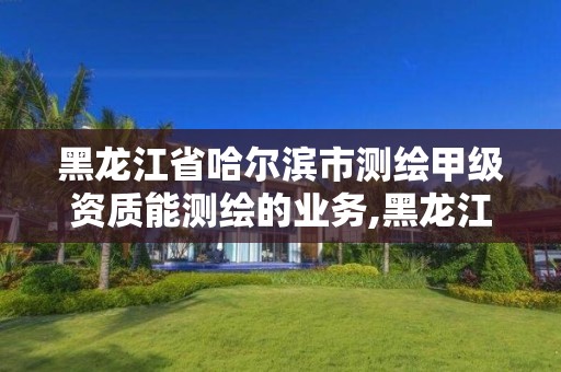 黑龙江省哈尔滨市测绘甲级资质能测绘的业务,黑龙江甲级测绘公司