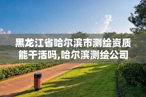 黑龙江省哈尔滨市测绘资质能干活吗,哈尔滨测绘公司招聘