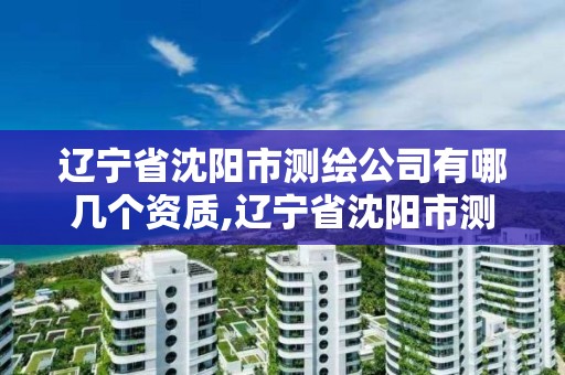 辽宁省沈阳市测绘公司有哪几个资质,辽宁省沈阳市测绘公司有哪几个资质企业。