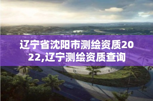 辽宁省沈阳市测绘资质2022,辽宁测绘资质查询