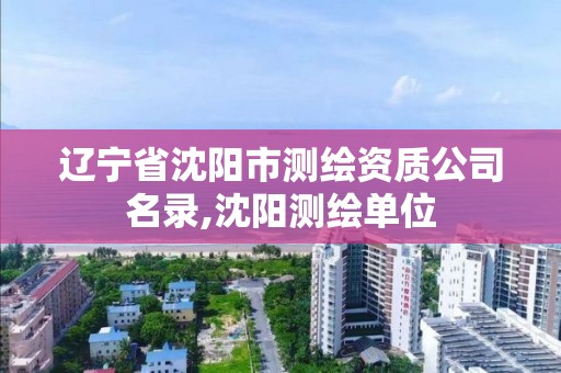 辽宁省沈阳市测绘资质公司名录,沈阳测绘单位