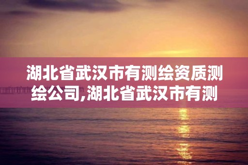 湖北省武汉市有测绘资质测绘公司,湖北省武汉市有测绘资质测绘公司吗