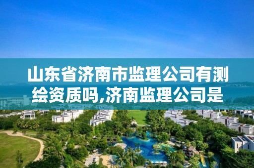 山东省济南市监理公司有测绘资质吗,济南监理公司是国企吗