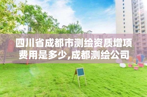 四川省成都市测绘资质增项费用是多少,成都测绘公司收费标准。