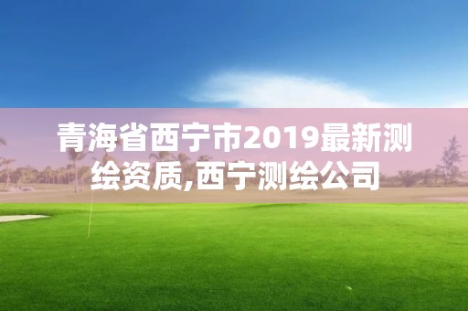 青海省西宁市2019最新测绘资质,西宁测绘公司