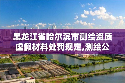 黑龙江省哈尔滨市测绘资质虚假材料处罚规定,测绘公司提供虚假测绘报告。