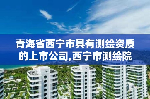 青海省西宁市具有测绘资质的上市公司,西宁市测绘院招聘公示