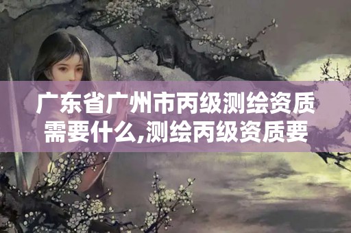 广东省广州市丙级测绘资质需要什么,测绘丙级资质要求