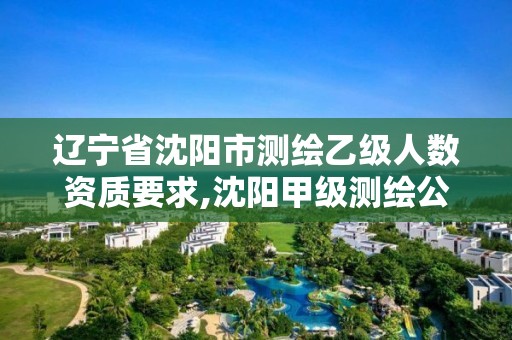 辽宁省沈阳市测绘乙级人数资质要求,沈阳甲级测绘公司