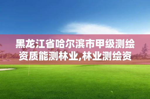 黑龙江省哈尔滨市甲级测绘资质能测林业,林业测绘资质哪里办理