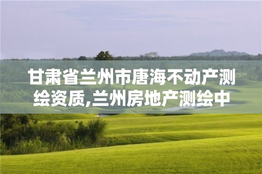 甘肃省兰州市唐海不动产测绘资质,兰州房地产测绘中心电话。