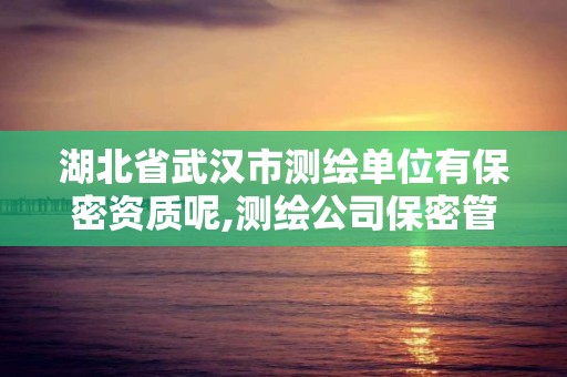 湖北省武汉市测绘单位有保密资质呢,测绘公司保密管理机构