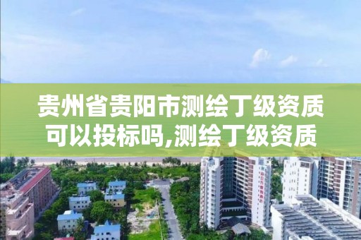 贵州省贵阳市测绘丁级资质可以投标吗,测绘丁级资质承接范围