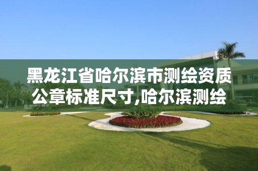 黑龙江省哈尔滨市测绘资质公章标准尺寸,哈尔滨测绘局怎么样