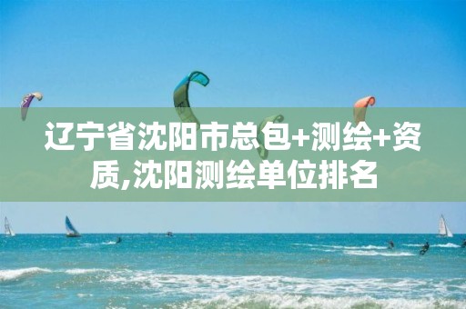 辽宁省沈阳市总包+测绘+资质,沈阳测绘单位排名