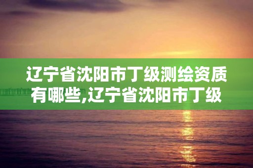 辽宁省沈阳市丁级测绘资质有哪些,辽宁省沈阳市丁级测绘资质有哪些单位