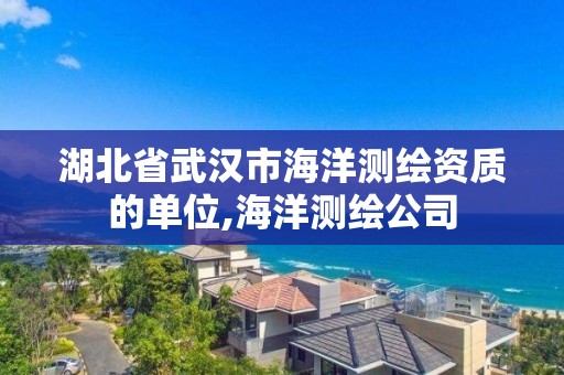 湖北省武汉市海洋测绘资质的单位,海洋测绘公司