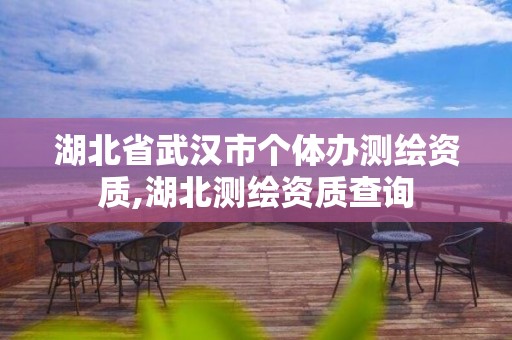 湖北省武汉市个体办测绘资质,湖北测绘资质查询