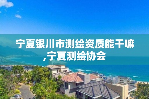 宁夏银川市测绘资质能干嘛,宁夏测绘协会