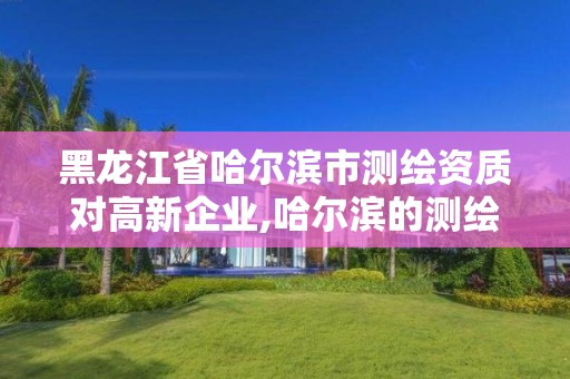 黑龙江省哈尔滨市测绘资质对高新企业,哈尔滨的测绘公司有哪些