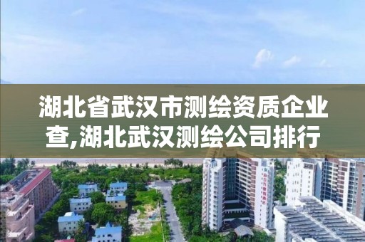 湖北省武汉市测绘资质企业查,湖北武汉测绘公司排行榜