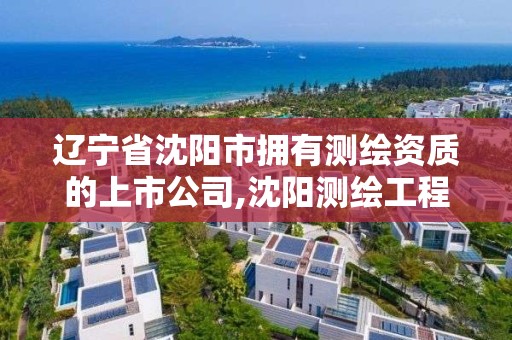 辽宁省沈阳市拥有测绘资质的上市公司,沈阳测绘工程。