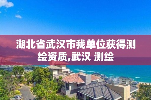 湖北省武汉市我单位获得测绘资质,武汉 测绘