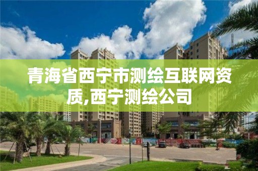 青海省西宁市测绘互联网资质,西宁测绘公司