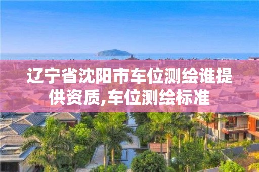 辽宁省沈阳市车位测绘谁提供资质,车位测绘标准