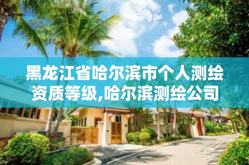 黑龙江省哈尔滨市个人测绘资质等级,哈尔滨测绘公司有哪些