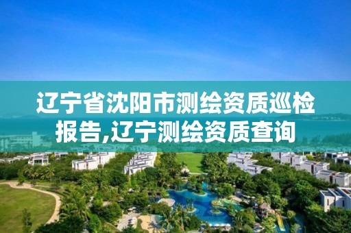 辽宁省沈阳市测绘资质巡检报告,辽宁测绘资质查询