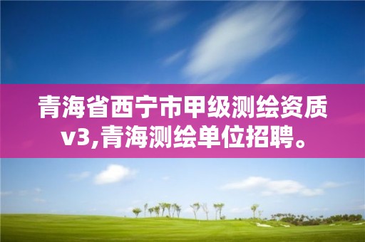 青海省西宁市甲级测绘资质v3,青海测绘单位招聘。