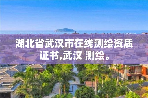 湖北省武汉市在线测绘资质证书,武汉 测绘。