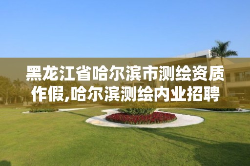 黑龙江省哈尔滨市测绘资质作假,哈尔滨测绘内业招聘信息