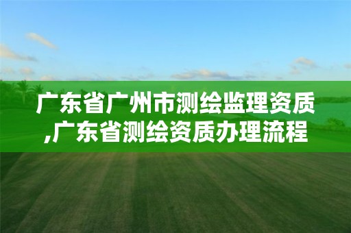 广东省广州市测绘监理资质,广东省测绘资质办理流程