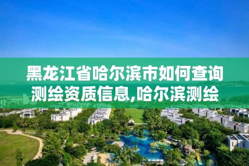 黑龙江省哈尔滨市如何查询测绘资质信息,哈尔滨测绘招聘信息