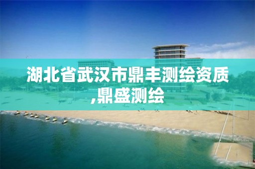 湖北省武汉市鼎丰测绘资质,鼎盛测绘