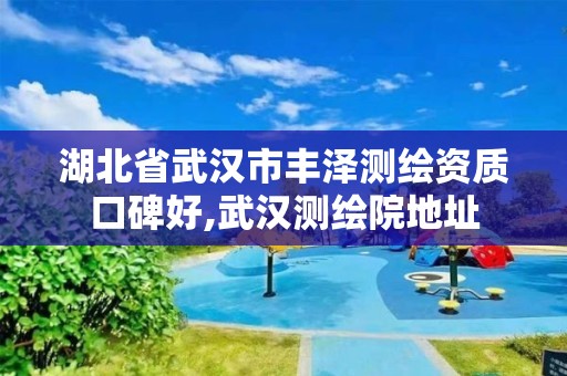 湖北省武汉市丰泽测绘资质口碑好,武汉测绘院地址