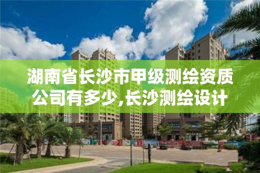 湖南省长沙市甲级测绘资质公司有多少,长沙测绘设计院。