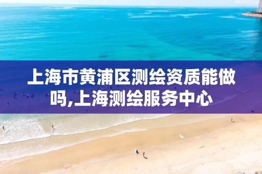 上海市黄浦区测绘资质能做吗,上海测绘服务中心