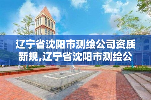 辽宁省沈阳市测绘公司资质新规,辽宁省沈阳市测绘公司资质新规有哪些