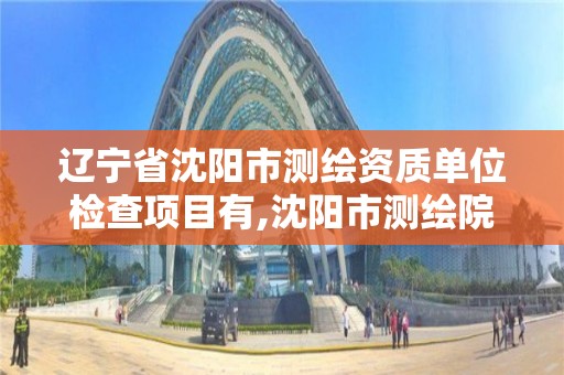 辽宁省沈阳市测绘资质单位检查项目有,沈阳市测绘院是什么单位