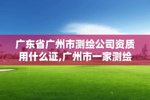 广东省广州市测绘公司资质用什么证,广州市一家测绘资质单位