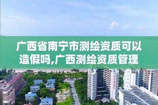 广西省南宁市测绘资质可以造假吗,广西测绘资质管理系统