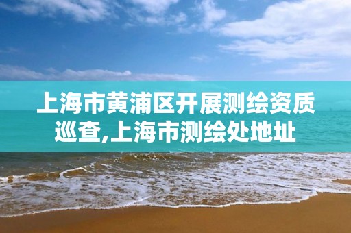 上海市黄浦区开展测绘资质巡查,上海市测绘处地址