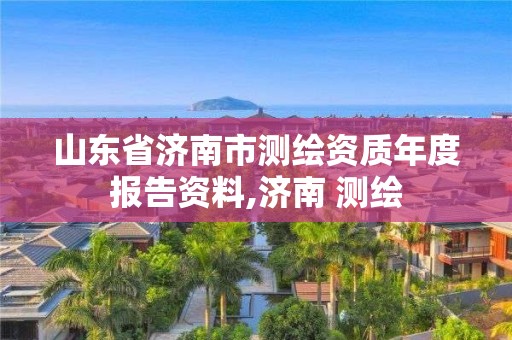 山东省济南市测绘资质年度报告资料,济南 测绘