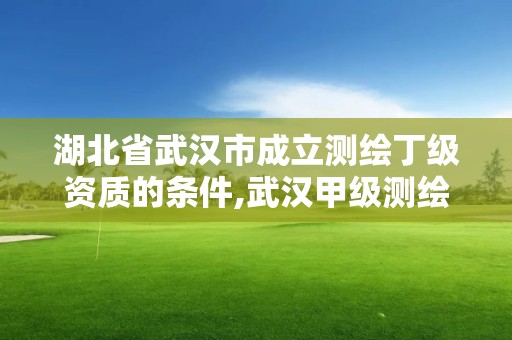 湖北省武汉市成立测绘丁级资质的条件,武汉甲级测绘资质名录。