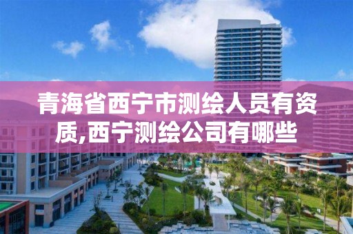 青海省西宁市测绘人员有资质,西宁测绘公司有哪些