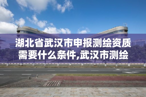 湖北省武汉市申报测绘资质需要什么条件,武汉市测绘管理条例。