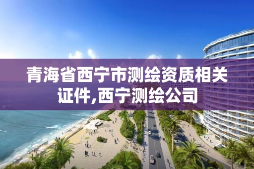 青海省西宁市测绘资质相关证件,西宁测绘公司